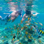 Bali Snorkling